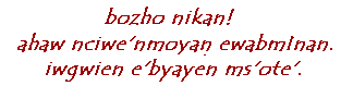 [language: bozho nikan! 
Ahaw nciwe'nmoyan ewabmInan.  Iwgwien e'byayen ms'ote'.]